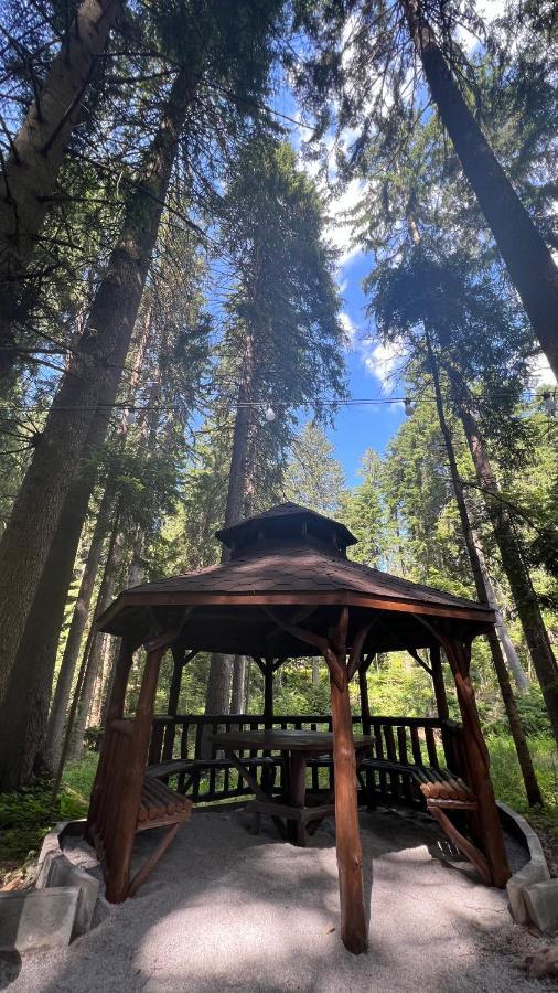 The Green Apartment Borovets Dış mekan fotoğraf