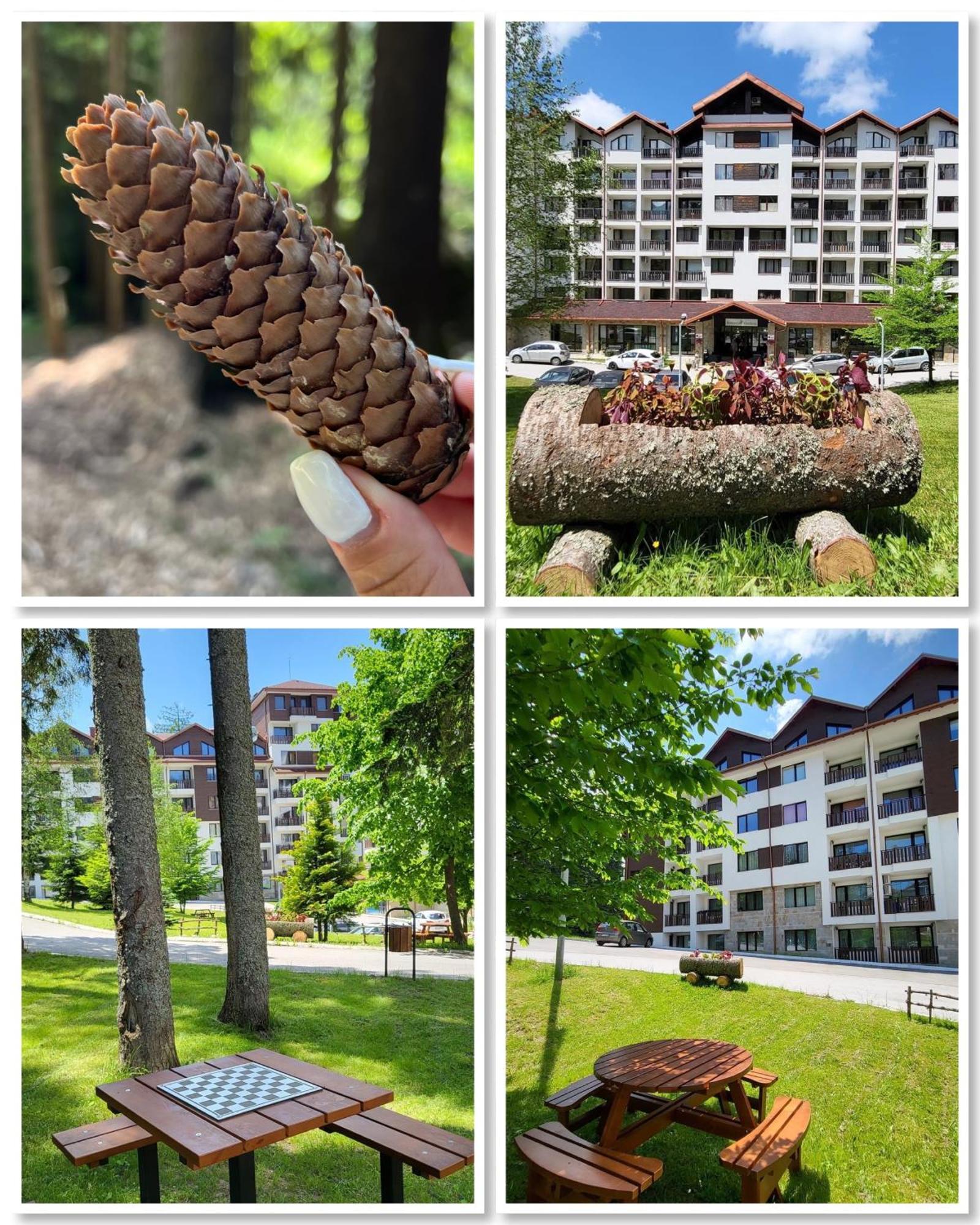 The Green Apartment Borovets Dış mekan fotoğraf